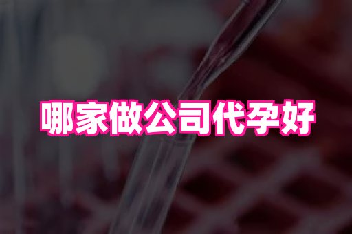 国际助孕网 3
