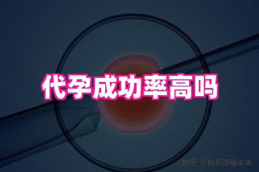 国际助孕网 4